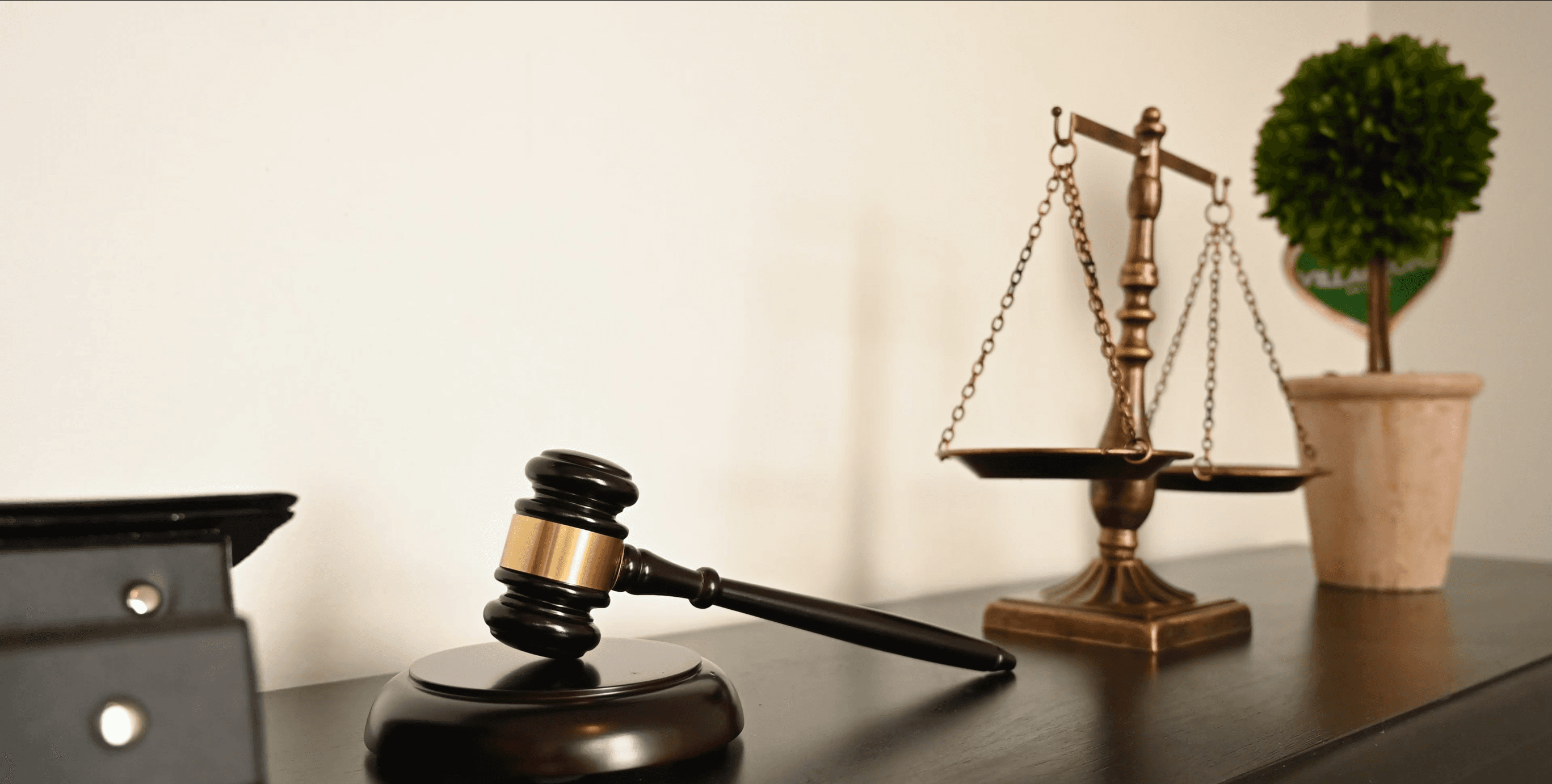 Çalışma Alanlarımız